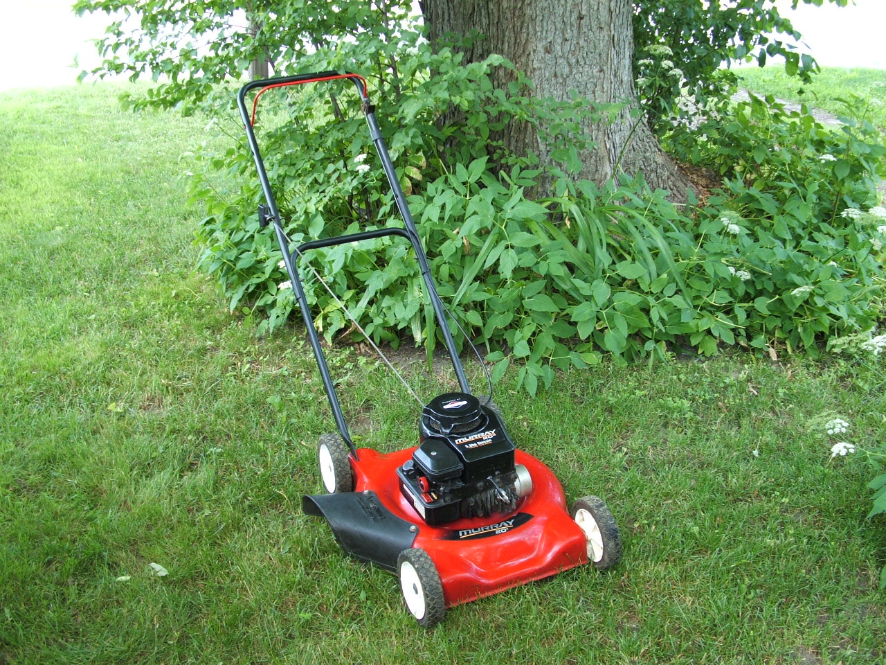 Murray 20" Briggs and Stratton Lawn Mower
